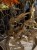 IMG_0718.jpeg