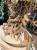 IMG_0719.jpeg