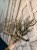 IMG_0720.jpeg