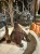 IMG_0726.jpeg