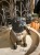 IMG_0727.jpeg