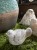 IMG_0744.jpeg