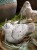 IMG_0745.jpeg