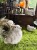 IMG_0748.jpeg
