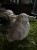 IMG_0750.jpeg