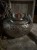 IMG_0820.jpeg