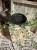 IMG_0827.jpeg