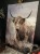 IMG_0834.jpeg