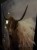IMG_0835.jpeg