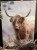 IMG_0836.jpeg
