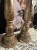 IMG_0897.jpeg