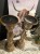IMG_0898.jpeg