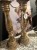 IMG_0899.jpeg