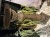 IMG_0903.jpeg