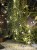 IMG_0978.jpeg