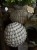 IMG_1247.jpeg