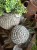 IMG_1249.jpeg