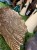 IMG_1264.jpeg