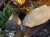 IMG_1268.jpeg