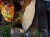 IMG_1270.jpeg