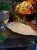 IMG_1270.jpeg
