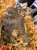 IMG_1286.jpeg