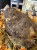 IMG_1287.jpeg
