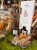 IMG_1299.jpeg