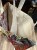 IMG_1476.jpeg