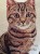 IMG_1495.jpeg