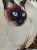 IMG_1500.jpeg
