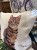 IMG_1496.jpeg