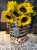 IMG_1525.jpeg