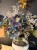 IMG_1535.jpeg