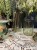 IMG_1566.jpeg