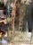 IMG_1567.jpeg