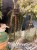 IMG_1568.jpeg
