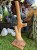 IMG_1563.jpeg