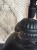 IMG_1576.jpeg