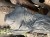 IMG_1596.jpeg