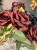 IMG_1603.jpeg