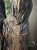 IMG_1600.jpeg