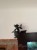 IMG_0885.jpeg
