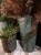 IMG_1647.jpeg