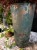 IMG_1653.jpeg