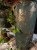 IMG_1655.jpeg