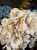 IMG_1671.jpeg