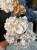 IMG_1672.jpeg