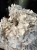 IMG_1673.jpeg