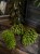 IMG_1758.jpeg